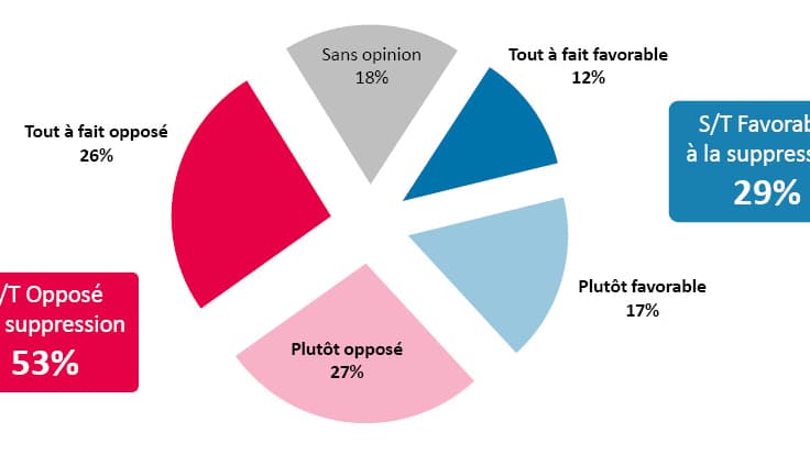 Selon ce sondage CSA pour BFMTV, 53% des Français sont opposés à la suppression de la parade militaire du 14 juillet.