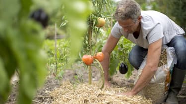 Botanic compte bien récupérer plus de 5 tonnes de pesticides lors de sa nouvelle campagne "Pulvérisons les pesticides"