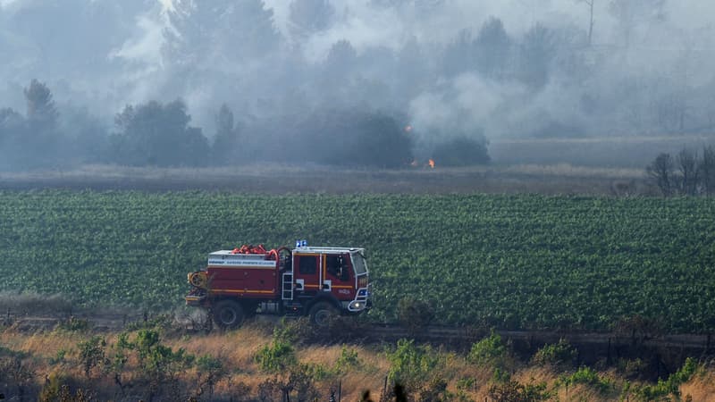 Des pompiers à pied d'œuvre pour maîtriser l'incendie à Saint-Cannat, dans les Bouches-du-Rhône, le 15 juillet
