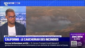 "Méga-feux": pour Gaël Musquet, spécialiste dans l’anticipation, la prévision et la prévention des catastrophes naturelles, "on est sur des dynamiques avec des feux de plus en plus violents et importants"