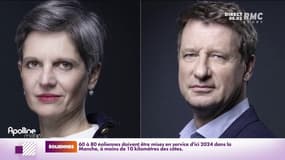 Jadot/Rousseau: quelles sont les différences majeures entre les deux candidats ? 