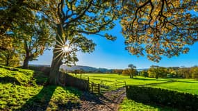 Vivre à la campagne est resté un vœux pieux