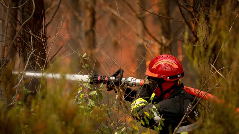 DIRECT. Incendies: 84 sapeurs-pompiers blessés en Gironde, 42.000 hectares parcourus