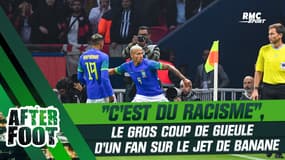 Brésil 5-1 Tunisie : "Ce n’est pas à l’image des Franco-tunisiens", le coup de gueule d’un fan sur le jet de banane