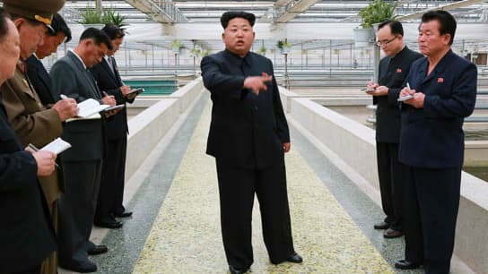Le leader nord-coréen Kim Jong-Un a piqué une vive colère contre les employés d'un élevage de tortues.