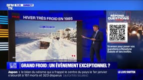 LES ÉCLAIREURS - Ces hivers où il a fait très froid en France 