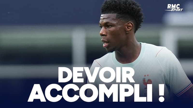 Brésil 1-2 France : 