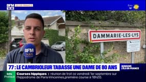 Seine-et-Marne: une octogénaire agressée violemment par un cambrioleur à Dammarie-les-Lys 