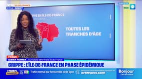 Grippe: l'Ile-de-France en phase épidémique