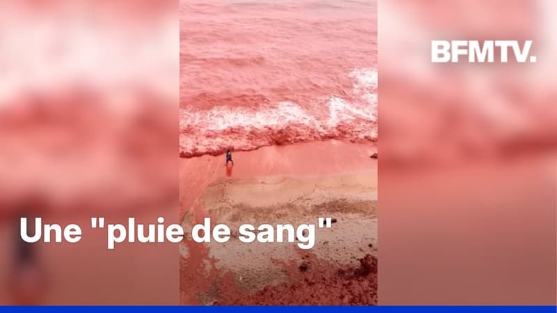 Iran: les images impressionnantes de l’eau de pluie teintée de rouge qui se déverse dans la mer