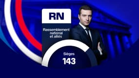 Les résultats du Rassemblement national et de ses alliés aux élections législatives anticipées de 2024.