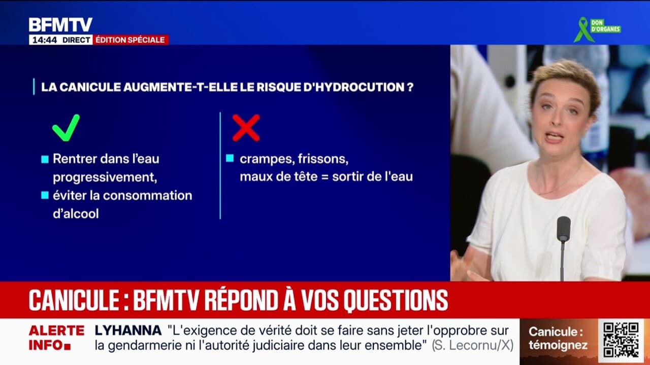 Canicule: peut-on se baigner si l'on trouve une étendue d'eau calme? BFMTV répond à vos questions