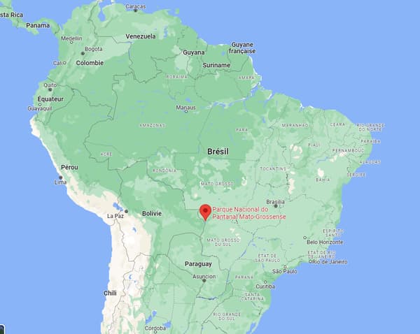 Localisation du Pantanal au Brésil, victime d'incendies majeurs en novembre 2023.