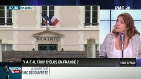Brunet & Neumann : Y a-t-il trop d'élus en France ? - 18/07
