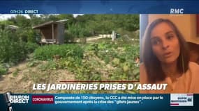 DUPIN QUOTIDIEN: Les jardineries prises d'assaut