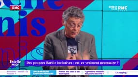 Des poupées Barbie inclusives : est-ce vraiment utile ?
