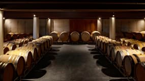 Famille Ravoire : Terroir et passion