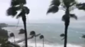 Irma: Le témoignage terrifiant de Kévin à Saint-Barth