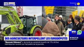 Strasbourg: Confédération paysanne et Coordination rurale manifestent devant le Parlement européen