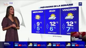 Météo Paris-Ile de France du 19 janvier: Le temps va rester bien gris et pluvieux ce mardi