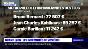 Grand Lyon: les indemnités de vos élus