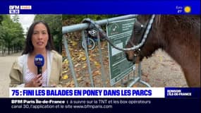 Paris: bientôt la fin des balades en poney dans les parcs de la ville