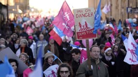 Une manifestation de la Manif pour tous à Versailles, le 15 décembre 2013.