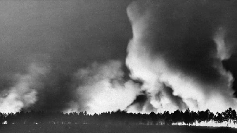 La forêt prise par les flammes le 22 août 1949 dans les Landes de Gascogne