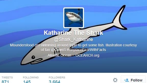 Le compte twitter du requin Katharine.