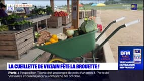 Essonne: la fête de la brouette bat son plein à la Cueillette de Viltain