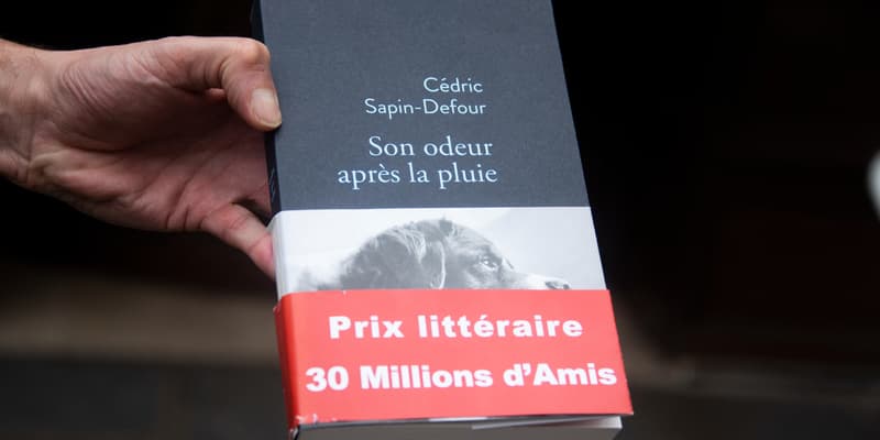 Couverture du livre "Son odeur après la pluie" de Cédric Sapin-Defour.