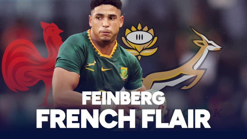 France-Afrique du Sud : Défense, jeu au pied, attaque... Feinberg, un Springbok au French Flair