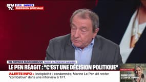 Procès RN: "Les juges appliquent la loi, si les élus ne sont pas d'accord, qu'ils déposent des propositions de loi pour supprimer l'inéligibilité", affirme Patrick Maisonneuve, avocat du Parlement européen