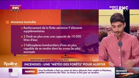 Incendies : une "météo des forêts" pour alerter 