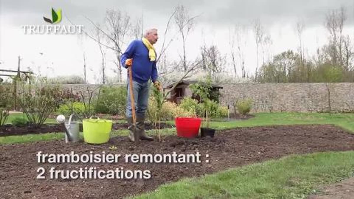placeholder video