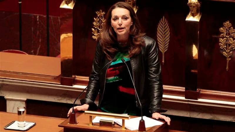 Les députés français ont adopté jeudi en première lecture, par un vote à main levée, la proposition de loi UMP qui vise à pénaliser la négation des génocides et notamment le génocide arménien de 1915. Malgré les pressions de la Turquie, les députés ont va