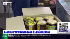 Alsace: encore une mauvaise saison pour les apiculteurs