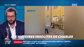 Faute de pouvoir rendre visite, il joue de l'accordéon sous sa fenêtre d'hôpital 