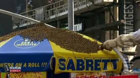Un essaim d'abeilles envahit un stand de hot-dogs en plein New York