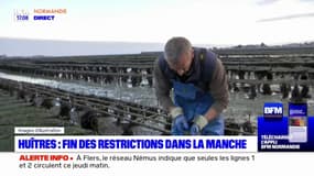 Manche: l'interdiction de la vente d'huîtres levée