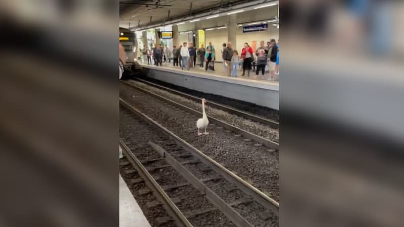 Bussy-Saint-Georges: le RER A interrompu pendant plus d'une heure à cause d'un...