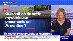 Que sait-on de cette mystérieuse pneumonie en Argentine ? BFMTV répond à vos questions