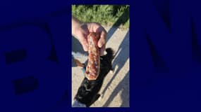 La saucisse empoisonnée publiée par la mairie de Saint-Baldoph en Savoie le 8 avril 2025