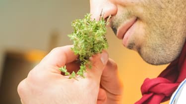 Image d'illustration - Une personne en train de sentir une plante