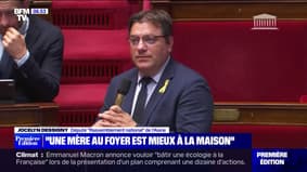 "Une mère au foyer est mieux à la maison": les propos polémiques d'un député RN à l'Assemblée nationale