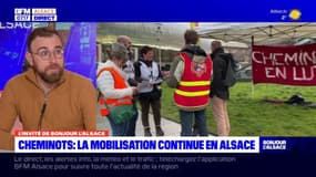 Grève du 15 mars en Alsace: forte mobilisation à la SNCF, aucun TER ne circule