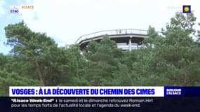 Vosges: à la découverte du chemin des cimes en Alsace