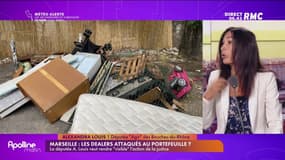 Alexandra Louis souhaite redistribuer les biens saisis aux dealers