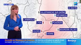 Météo Rhône: des éclaircies ce jeudi, il fera 9°C à Lyon