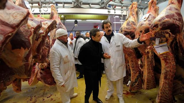 Le candidat Nicolas Sarkozy a critiqué mardi une polémique sur la viande halal "qui n'a pas lieu d'être" lors d'une visite matinale chez les professionnels de la boucherie du marché de Rungis, au sud de Paris. /Photo prise le 21 février 2012/REUTERS/Phili
